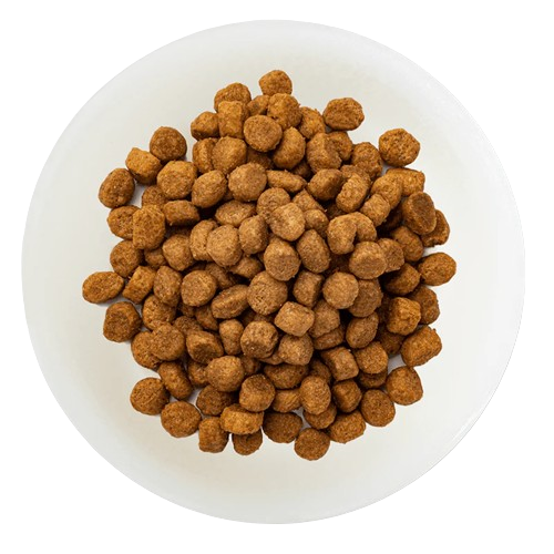 Cat Dry Food