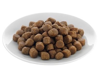 Dog Dry Food