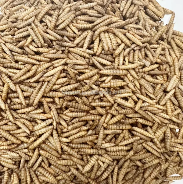100-Natural-Additive-free-Bsf-Larvae-Microwave-Dry-Calci-Worm-Pet-Food