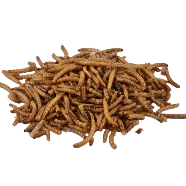 100-Pure-Natural-Dried-Mealworms-Yee-Fish-Food-Bulk-for-Birds-Fish-Horses-Pigs-Dogs-Small-Pet-Food