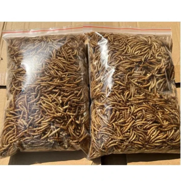 Black-Soldier-Fly-Larvae-Non-Toxic-No-Residues-High-Protein-for-All-Animals