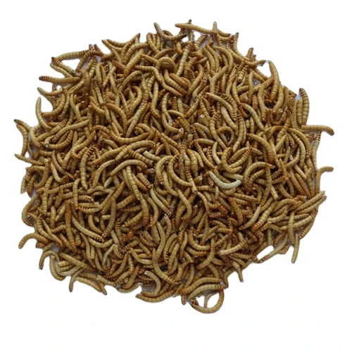 Bulk-Freeze-Dried-100-Natural-Protein-Pet-Food-Mealworms-for-Skin-Coat-Health
