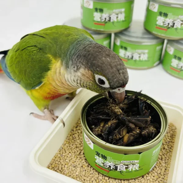 Canned-Black-Crickets-Ready-to-Feed-Shelf-Stable-Pet-Nutrition