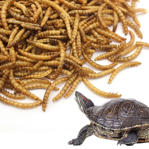 Canned-Dried-Mealworm-Pet-Food-Pet-Supplies-OEM-Box-ChickenBirdPigeonDuck-Mealworms