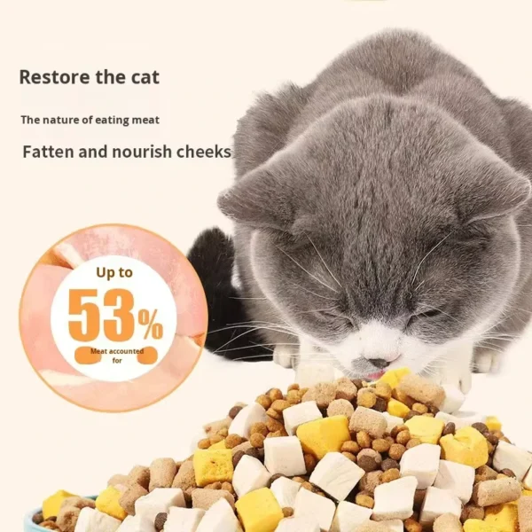 Cat-Food-5kg-Pack-Adult-Cats-Kittens-Freeze-Dried-Raw-Meat-No-Artificial-Flavors-Colors-Skin-Coat-Health-Big-Bag-Dry