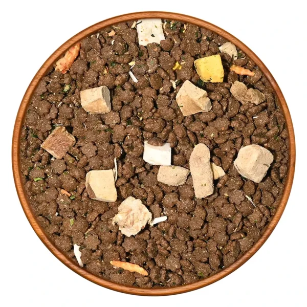 Direct-From-Manufacturer-Grain-Free-Meat-Cat-Food-Dry-20kg-Bulk-Dry-Cat-Food-Custom-Packaging-Formulas