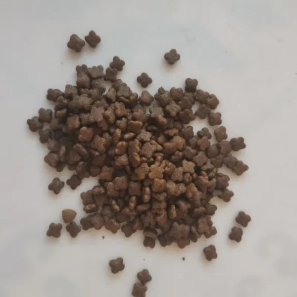 Dog-Cat-Food-Balanced-Pet-Food-1.5kg-5kg-10-kg-Per-Bag-Dry-Dog-Food