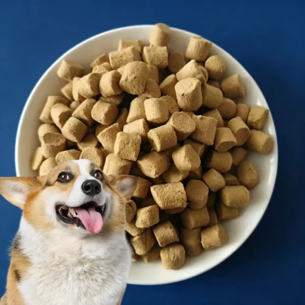 Easy-Digest-Low-Fat-Snacks-for-Senior-Dog-Daily-Diet-and-Aging-Pet-Health-Care-Pet-Freeze-Dried-Raw-Meat-Food
