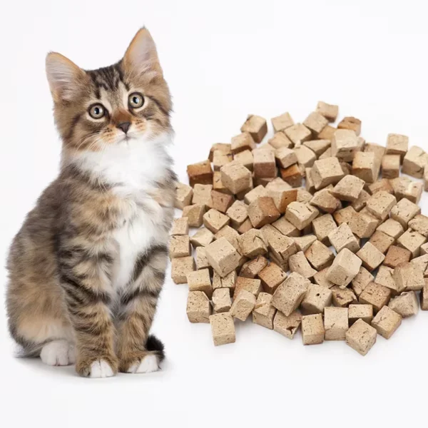 FD-Freeze-Dried-Beef-Liver-Powder-Pet-Treats-Pet-Food-Pet-Treat-Supplier