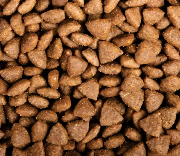 Factory-Popular-Latest-Products-Balanced-Nutrition-Balanced-High-Protein-Dog-Dry-Food