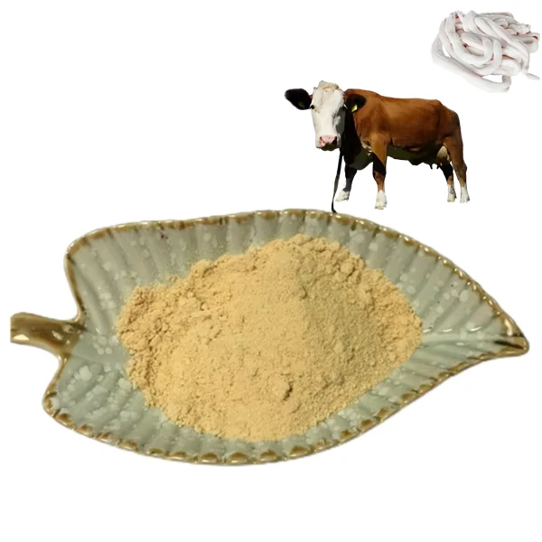 Factory-Supply-Animal-Extract-Freeze-Dried-Powder-Beef-Bone-Marrow-Powder-Bone-Marrow-Beef-Powder-with-Bulk-Price