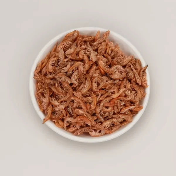 Freeze-Dried-Gammarus-Natural-Color-Enhancing-Snack-for-Fish-Turtles-Cats-Dogs-Bulk-Supply