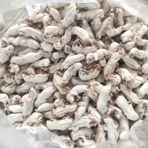Freeze-Dried-Pinkie-Mice-Farm-Breed-for-Pet-Snakes-Reptiles-Amphibians-Cats-Treats