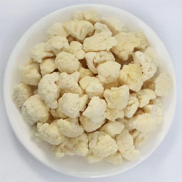 Freeze-dried-Vegetables-and-Fruits-for-Pets-Offer-a-Nutritionally-Balanced-Natural-and-Healthy-Option-Paired-with-Meat-Floss