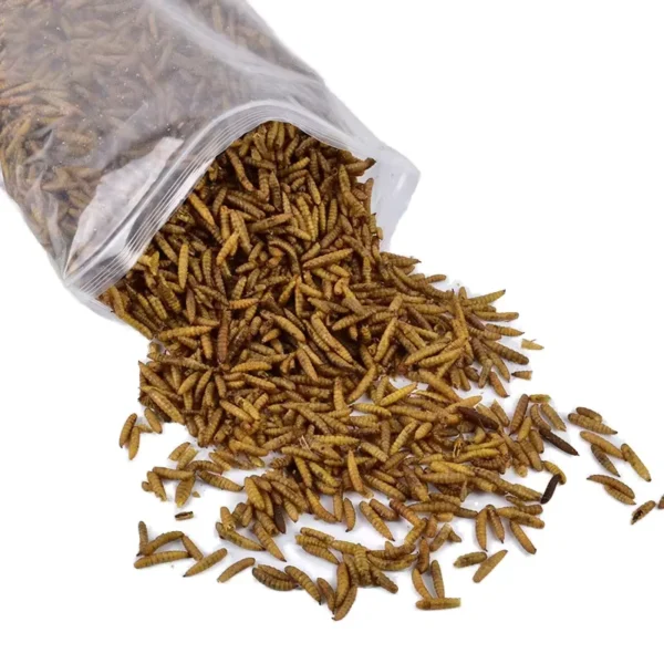 Guaranteed-Quality-Microwave-Drying-Dried-Mealworms