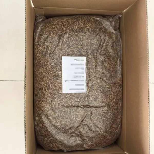 High-Protein-Dried-Flour-Worm-Mealworm-in-Bulk-5-KG-for-Wild-Bird