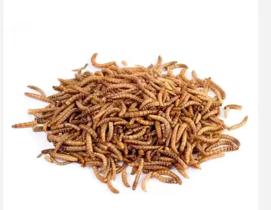 High-Protein-Dried-Mealworms-Natural-Animal-Food-and-Fish-Food-Grain-Free-Packaged-in-a-Bag
