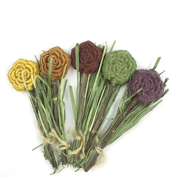 High-Quality-Pet-Supplies-Natural-Rabbit-Treats-Food-for-Rabbit-Hamster-Treats-Rabbit-Chew-Toy-Snacks-Grass-Cake