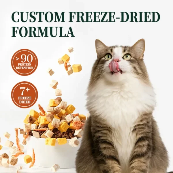 High-quality-Organic-Kitten-Dry-Cat-Food-with-Variety-Flavors-Complete-Nutrition-No-Artificial-Additives
