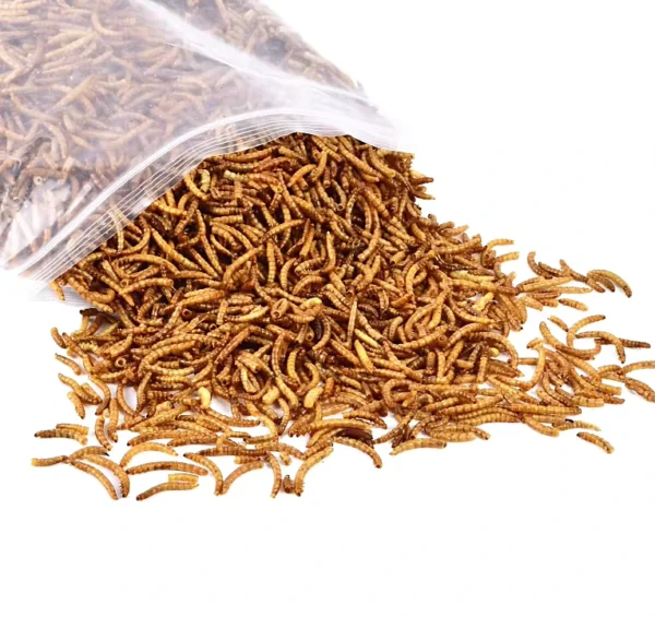 Hot-Selling-High-Quality-Bulk-Animal-Feed-Organic-Dry-Pet-Food-Treats-Dried-Mealworms-High-Protein-Additive-Free-Carton-Pack
