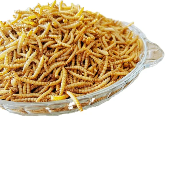 Hot-Selling-Organic-Dry-Pet-Food-High-Quality-Bulk-Animal-Feed-Dried-Mealworms-Specially-for-Chickens