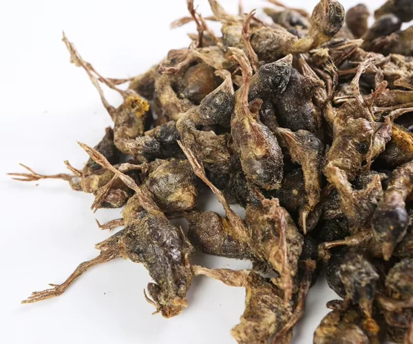 Made-in-China-High-Protein-Freeze-Dried-Quail-Cat-Food-Cat-Snacks-Cat-Treats-Pet-Treat-Pet-Snack-Pet-Food