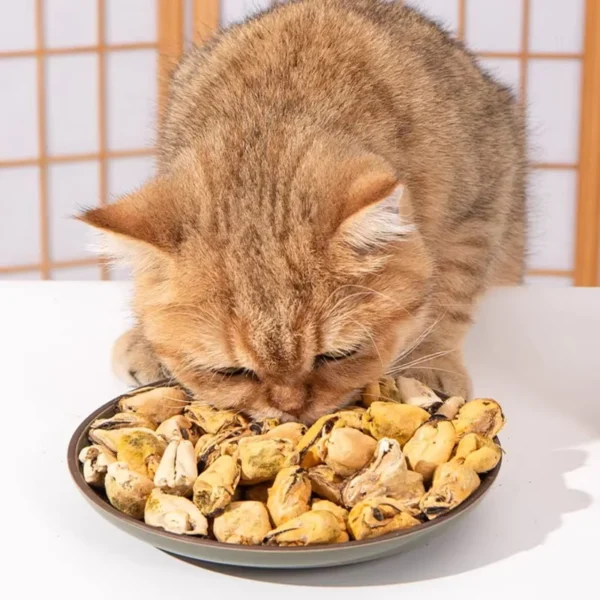 Manufacturer-Preferential-Nutritional-Freeze-Dried-Mussel-Fish-Chicken-Duck-Salmon-Pet-Dry-Snacks-for-Cats-Dogs