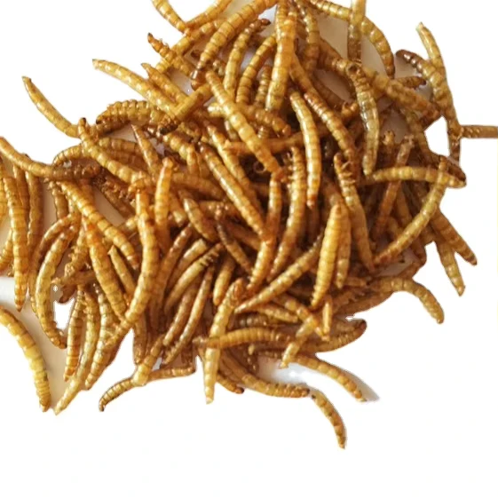 Manufacturers-Direct-Purchase-Edible-Insect-Freeze-dried-Yellow-100-Natural-Protein-Pet-Food-Mealworms-2.5-3.5cm-Cats-Skin-Coat