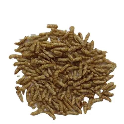 Manufacturers-Low-Cost-Professional-Bird-Turtle-Pet-Food-Microwave-Dried-100-Natural-Protein-Mealworm-Pupae-White