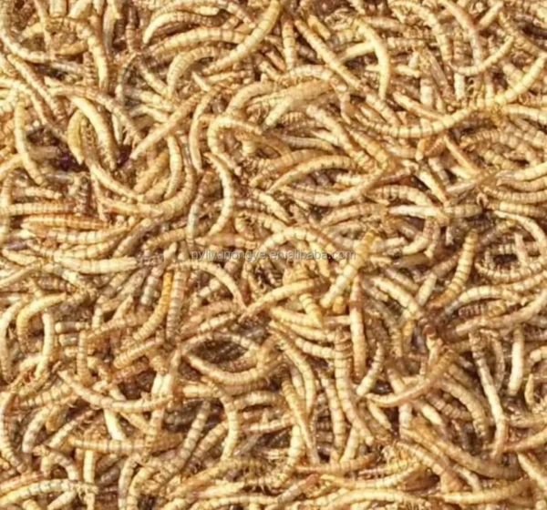 Microwave-Dried-Mealworms-Nourishing-Dry-Food-for-Birds-and-Small-Animals