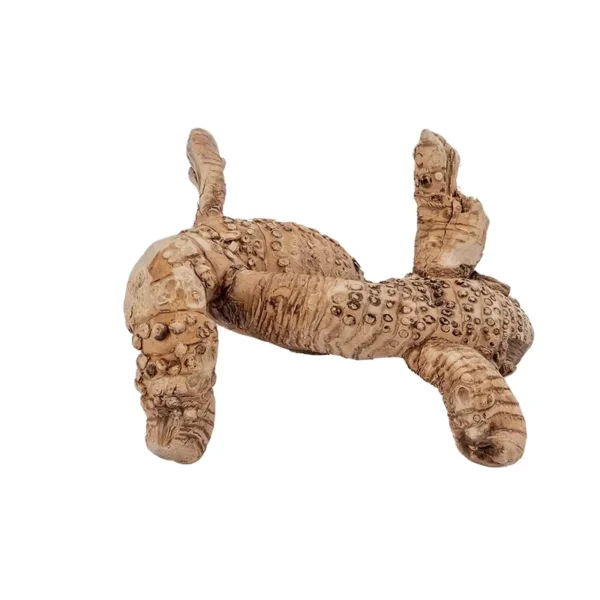 Natural-Bamboo-Root-Material-Durable-Hamster-Toys