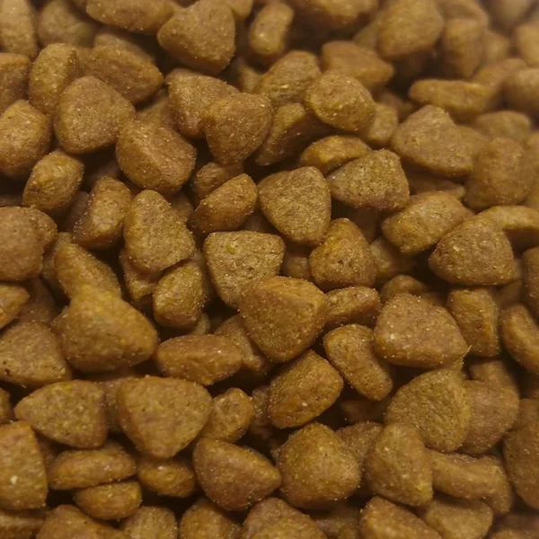 OEM-Bulk-Pet-Food-Factory-High-Protein-Nutrition-Dry-Dog-Food-Beef-Flavor-Dry-Pet-Food-for-Dog