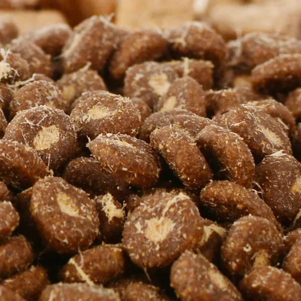 OEM-Bulk-Pet-Food-Factory-High-Protein-Nutrition-Dry-Freeze-Stuffed-Natural-Premium-Dry-Cat-Food