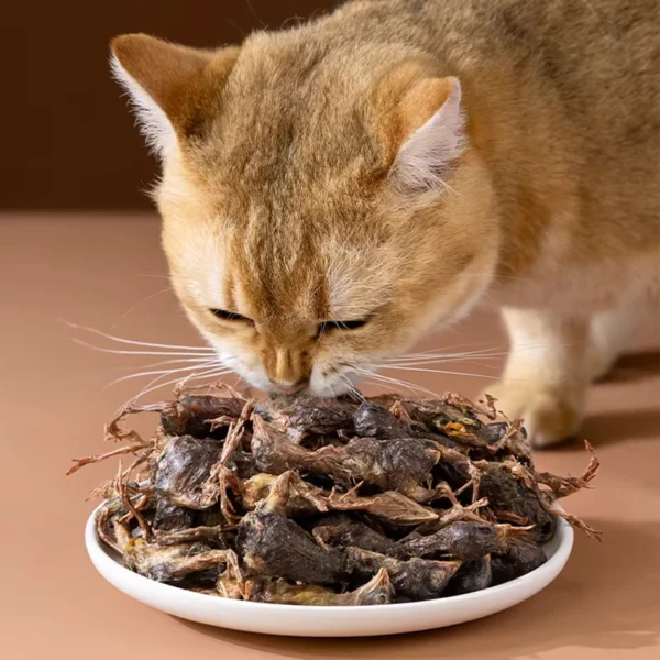 OEM-Freeze-Dried-Quail-Pet-Treats-Organic-Food-Safe-Packaging-Dry-Lyophilized-Snacks-for-Dogs-Cats-Snacks