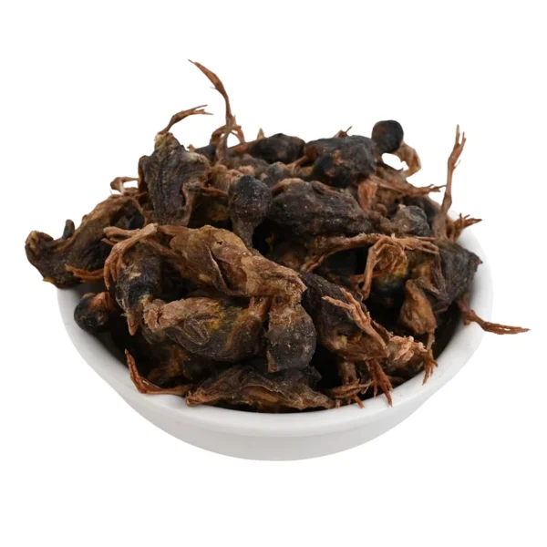 OEM-Freeze-Dried-Whole-Quail-High-Protein-Raw-Meat-Teeth-Grinding-Treats-for-Cats-Dogs-Custom-Available
