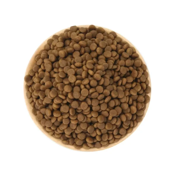 OEM-ODM-Chinese-Factory-Pet-Food-Dry-Pet-Food-Bulk-Dog-Cat-Food