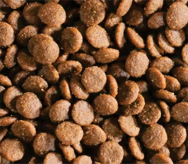 OEM-ODM-Dry-Pet-Food-Supplier-Low-Price-Factory-Label-Customized-Dry-Cat-Food
