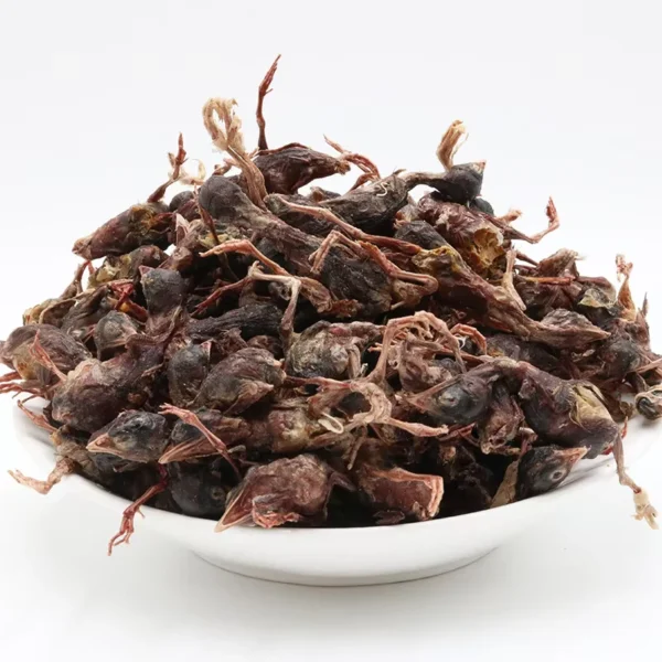 OEM-ODM-Factory-Natural-High-Protein-Snacks-Freeze-Dried-Quail-for-Cat-Dogs-Toy-Chews-Food