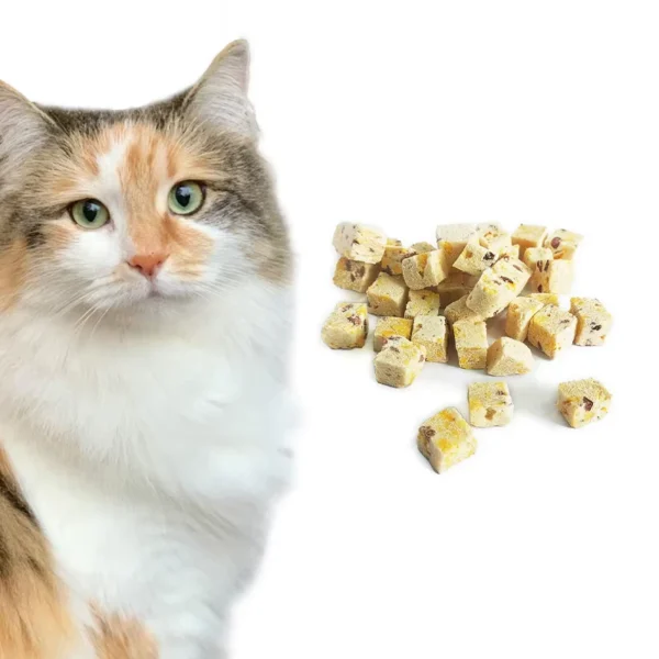 OEM-ODM-Nutritional-Pet-Food-Freeze-Dried-Cranberry-Souffle-High-Protein-Low-Fat-Pet-Treats-Snacks-for-Cat-Food-Dog-Treats-Food