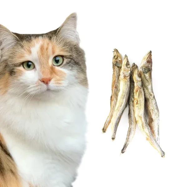 OEM-ODM-Pet-Food-Custom-Packaging-100-Natural-Freeze-dried-Capelin-Fish-Cat-and-Dog-Snacks