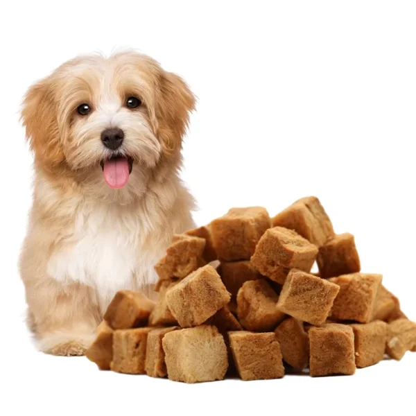 OEM-freeze-dried-salmon-pet-food-private-label-treats-pet-for-dog-cat