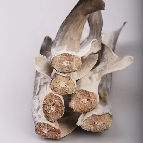 Omega-3-Fatty-Acids-Organic-High-Protein-Freeze-Dried-Shark-Meat-Chunks-Pet-Treats-Digestive-Skin-Health-Benefits-ISO22000-HACCP