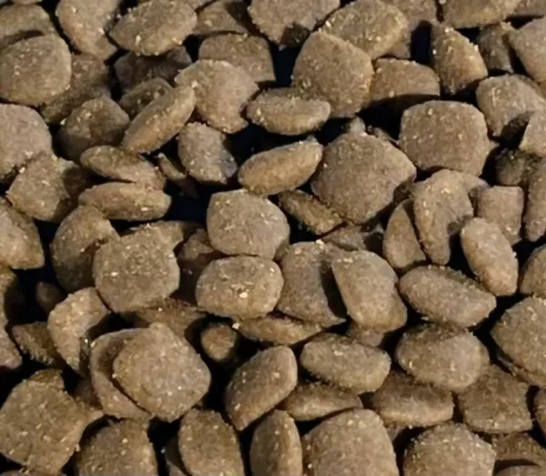 Premium-Grain-Free-Dog-Food-for-Private-Label-OEM-ODM-Dry-Food-in-1kg-5kg-10kg-Bulk-Quantities-Chicken-Flavor