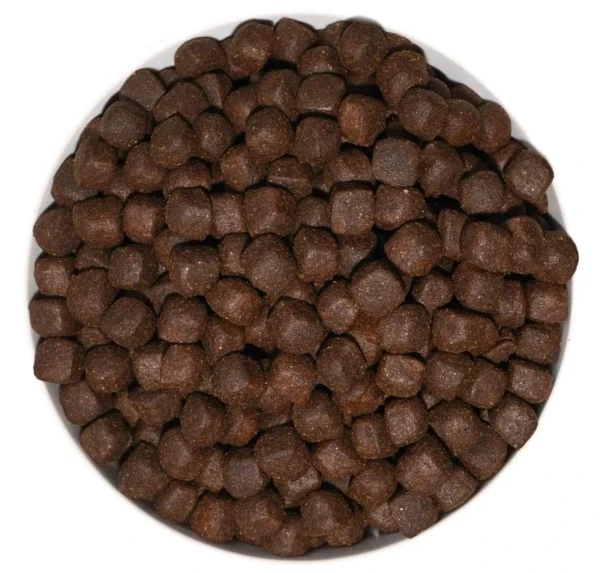 Premium-Hypoallergenic-Baked-Chicken-Dry-Dog-Food-OEM-Manufacturer-for-Bulk-Export