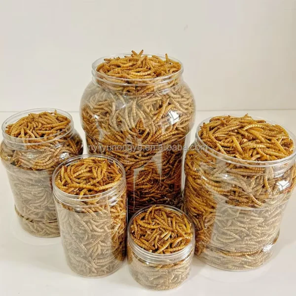 Protein-Tenebrio-Molitor-Flour-Weevil-Tenebrio-Molitor-Yellow-Mealworms-Snacks-Freeze-Dried-Pet-Snack-Mealworms-for-Animal-Feed